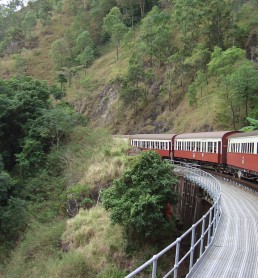 2920392012_15d17f006e_b