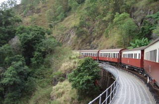 2920392012_15d17f006e_b