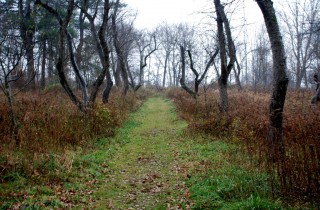 297625969_05f8ebfe25_b