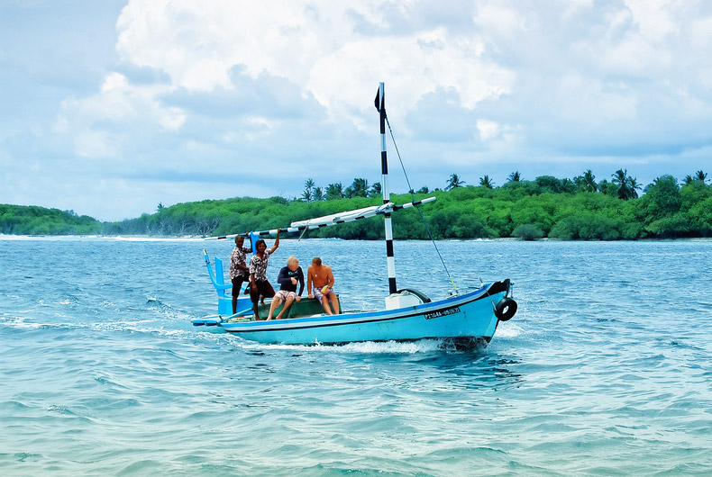 Socha Responsive WordPress Theme