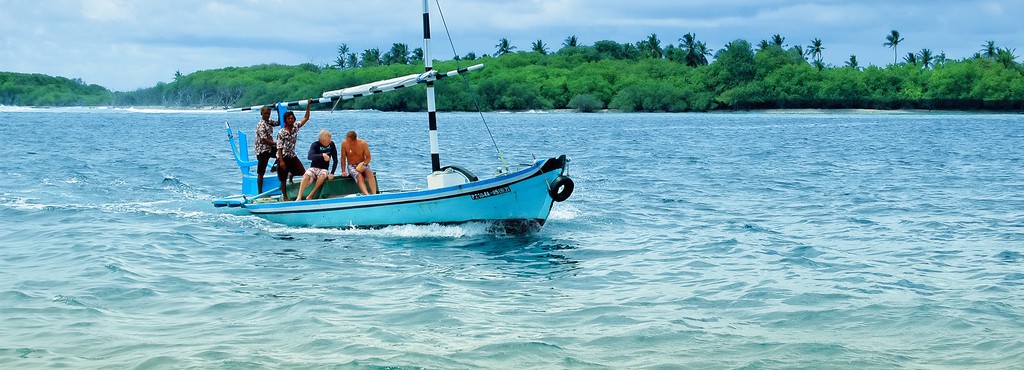 3217481781_00dcafe120_b