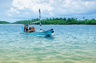 3217481781_00dcafe120_b