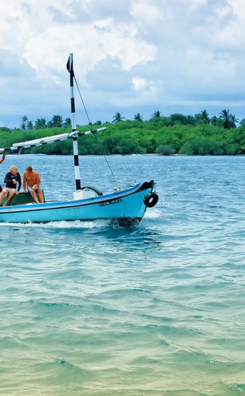 3217481781_00dcafe120_b