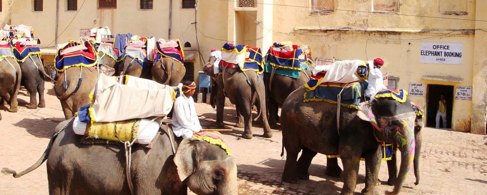 3382589647_3af621ab65_b