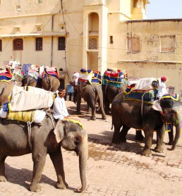 3382589647_3af621ab65_b