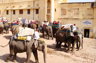 3382589647_3af621ab65_b