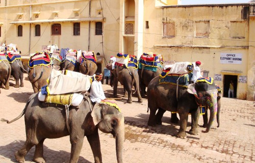 3382589647_3af621ab65_b