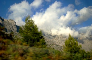 4187427142_935c13a512_b