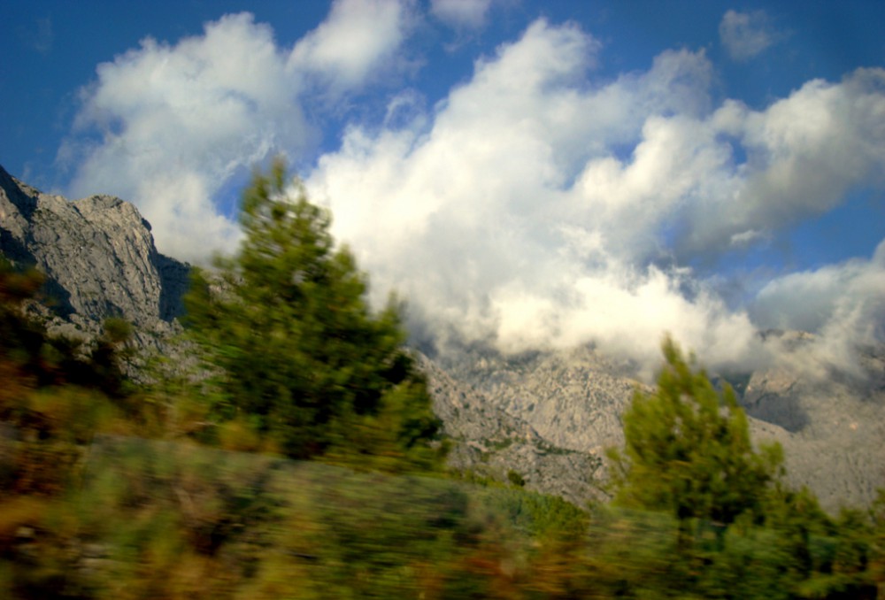 4187427142_935c13a512_b