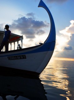 4384114859_18e5fce06b_b