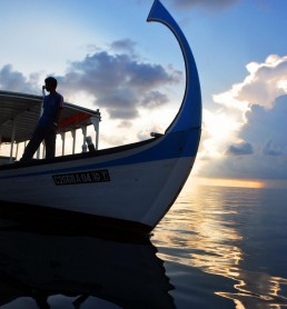 4384114859_18e5fce06b_b