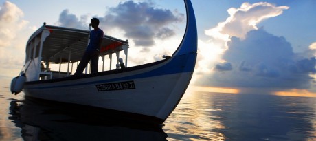 4384114859_18e5fce06b_b