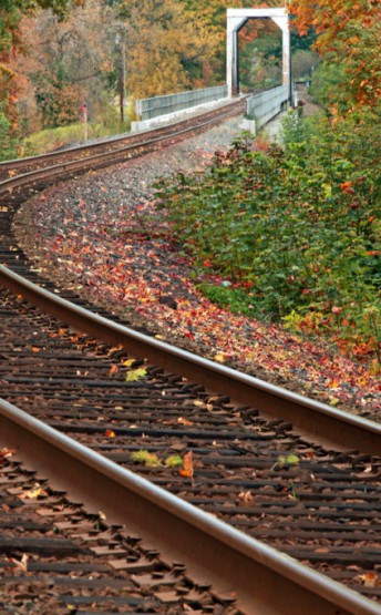 5109190796_34a851a25e_b