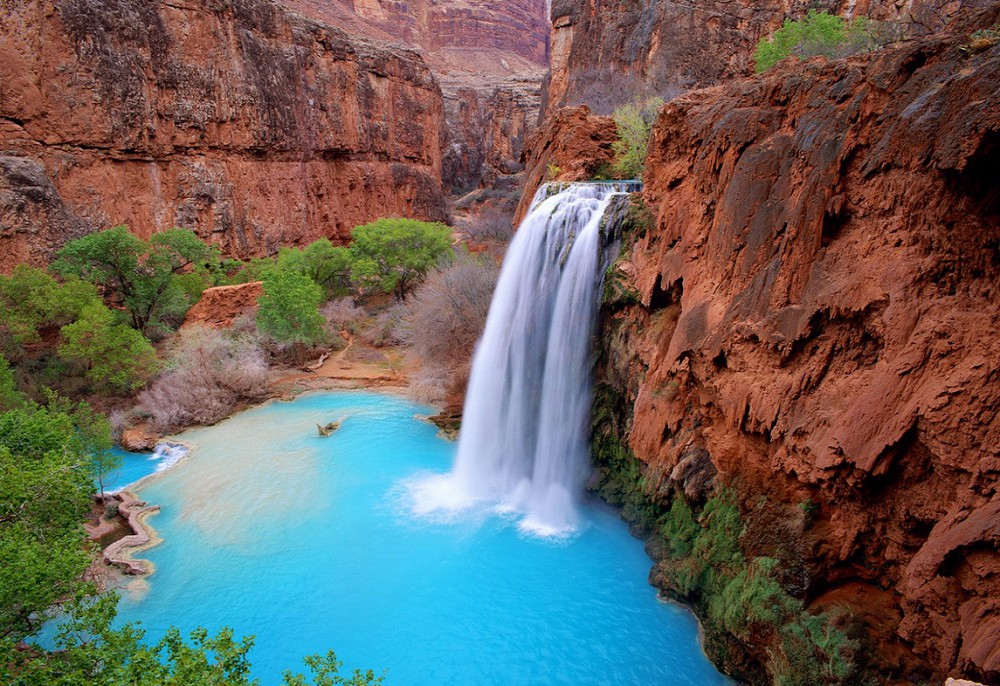 travel-business-havasu-falls1